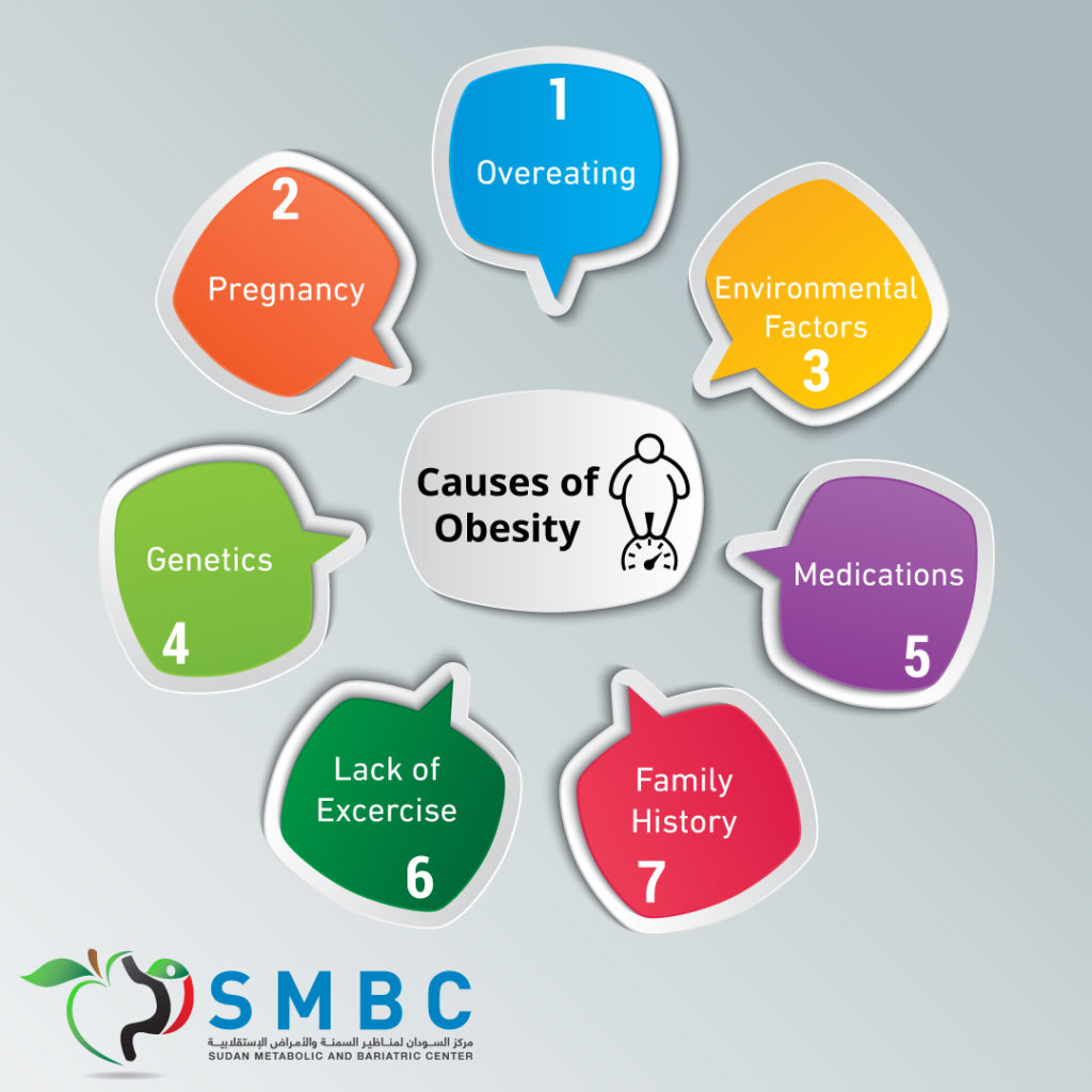 ¿cuáles Son Las 3 Principales Causas De La Obesidad 