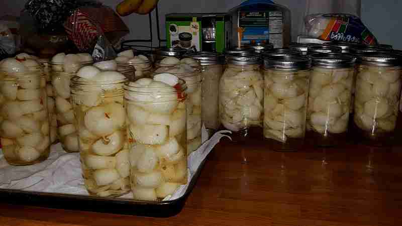 Pickled Onion Recipe Hawaii