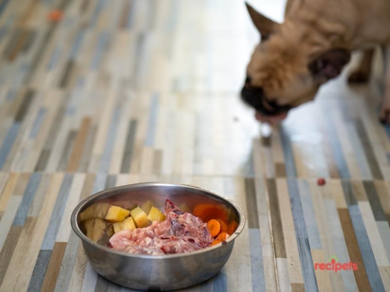 raw food for french bulldogs who often suffer with food sensitivities